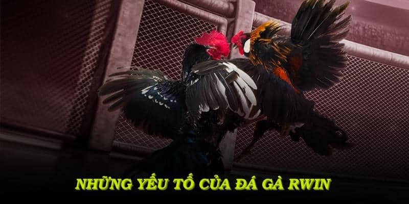 Những yếu tố của đá gà RWIN đem lại trải nghiệm cá cược sâu
